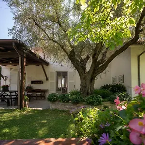 Trecentolivi Bed & Breakfast Montignano